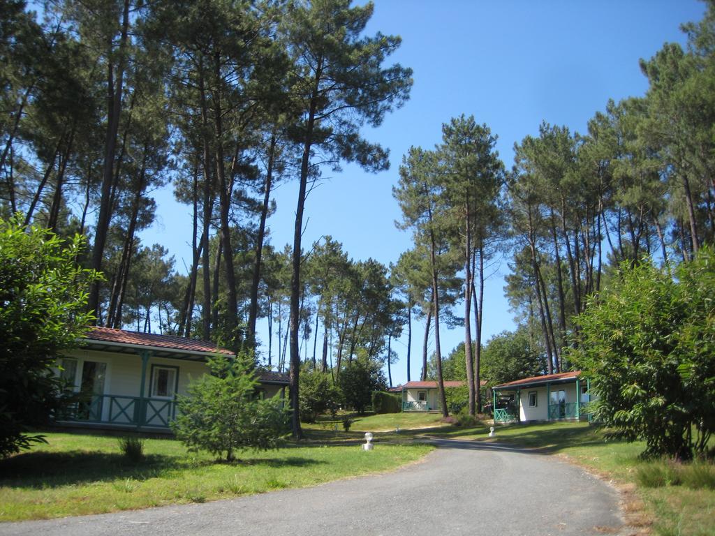 Hotel DOMAINE des GRANDS PINS à Tamniès Extérieur photo